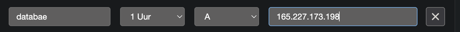 DNS management interface showing A record configuration
